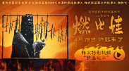 老阿姨4免费高清电视剧在线